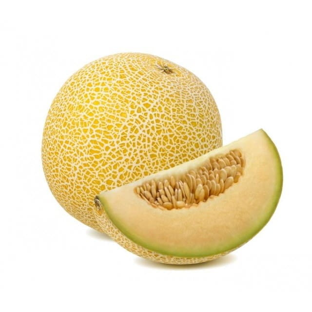 Galia melon