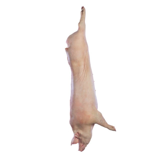 Porcelet 25 à 30Kg surgelé Espagne — cours et prix