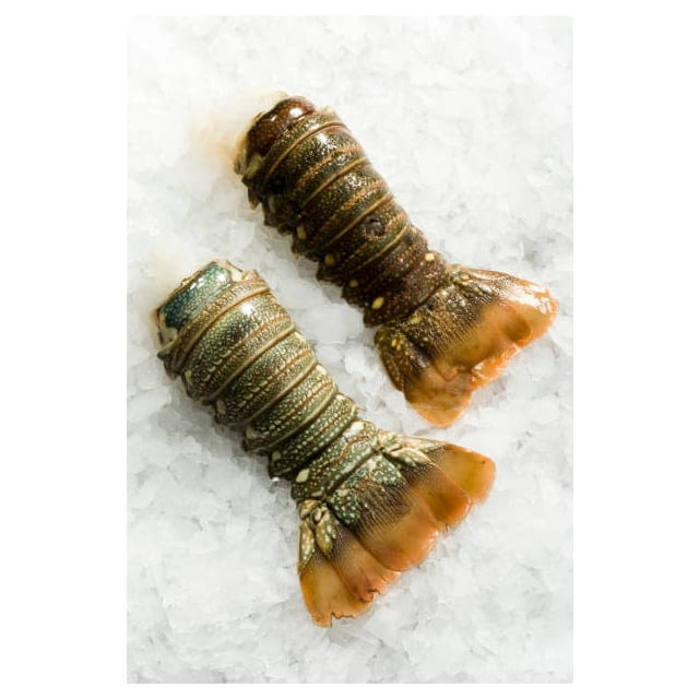 Frozen lobster tails CAL 5/6oz