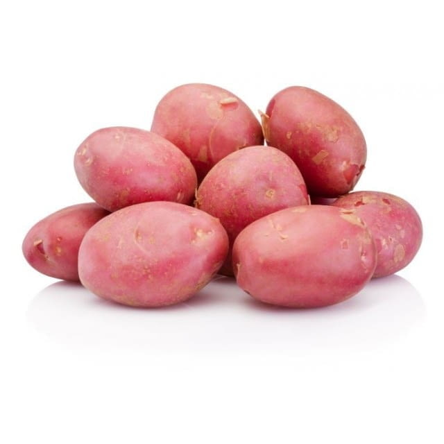 Red potato Jumbo