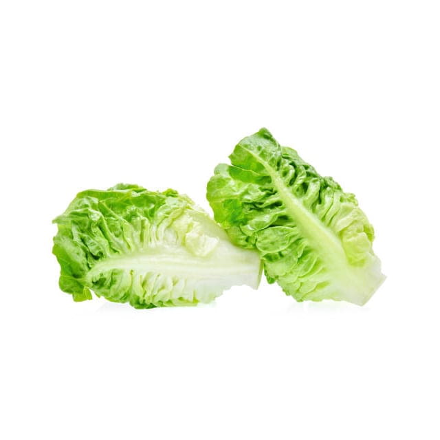 Baby lettuce little gem farms