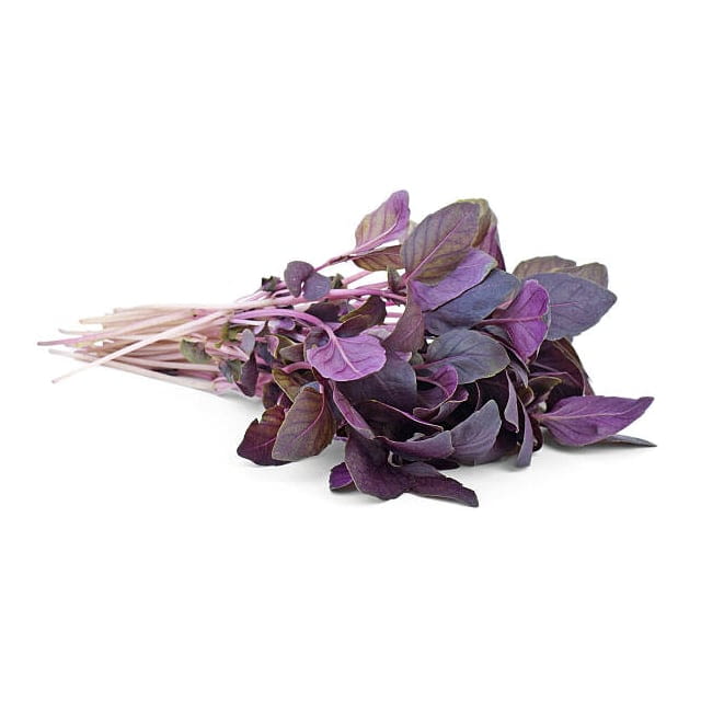 Micro cress red basil