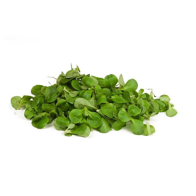 Edible buckler sorrel leaves
