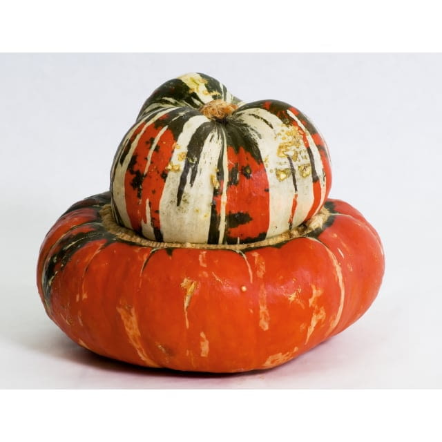Squash turban