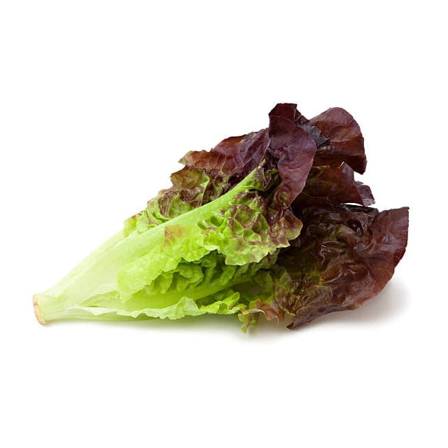 Red leaf lettuce