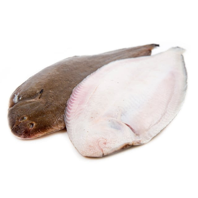 Sole