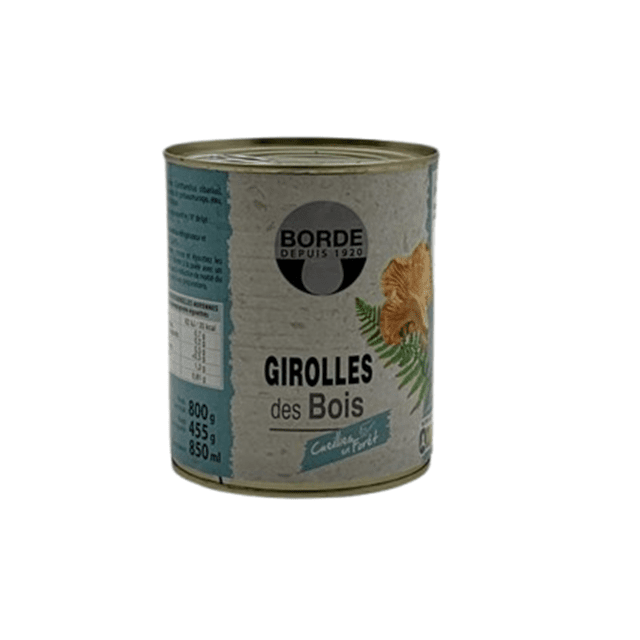 Girolles des bois Borde