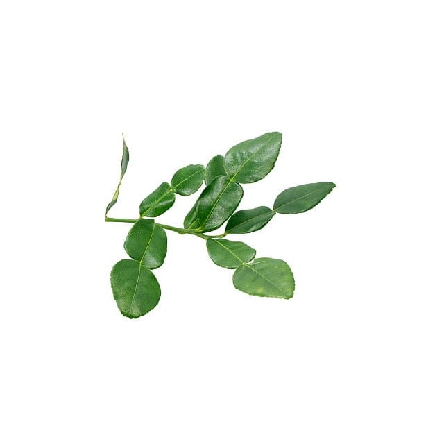 Kaffir lime leaves