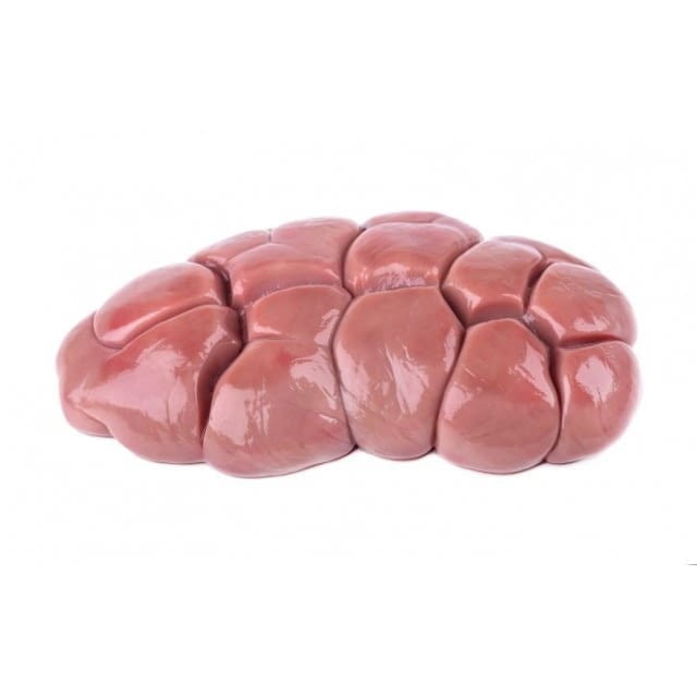 Rognon de veau blanc dégraissé — cours et prix