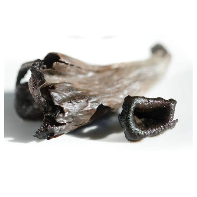 Dried mushroom trompette