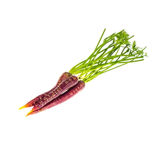 Carotte violette