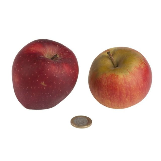 Pomme reine des reinettes