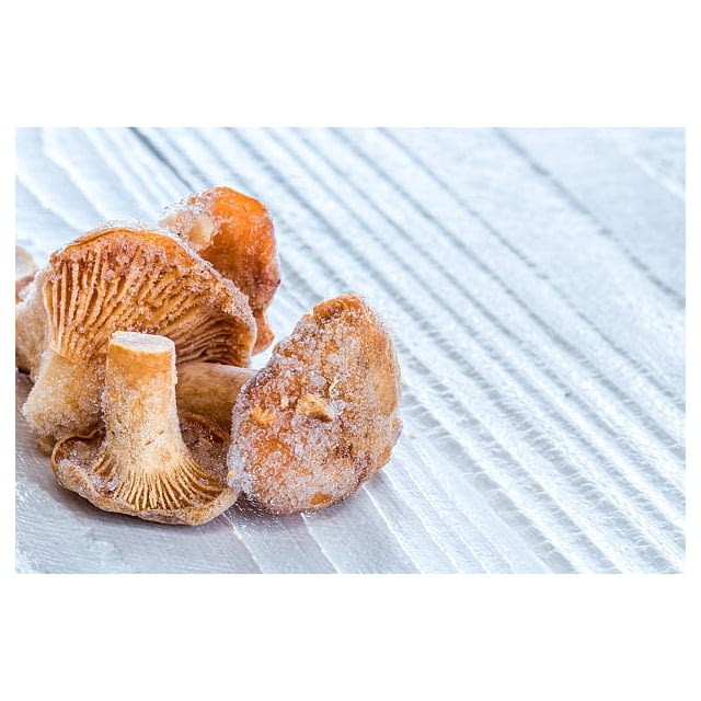 Frozen giroles mushroom