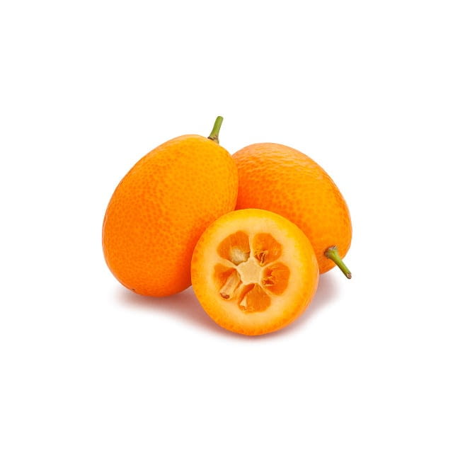 Kumquat