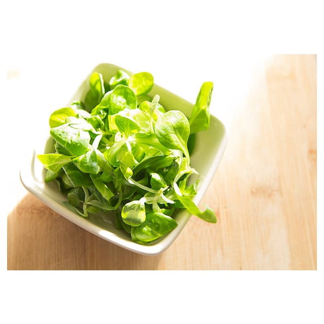 Micro cress chickweed