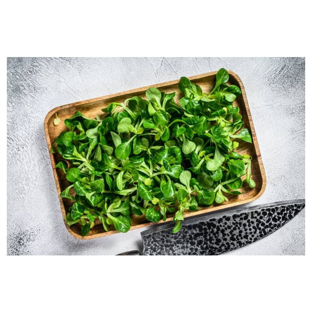 Micro cress lemon sorrel