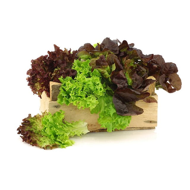 Artisan lettuce
