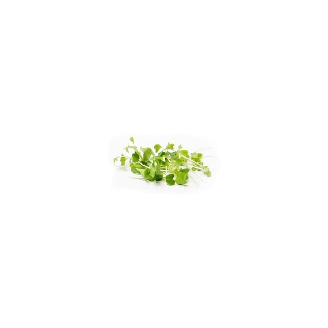 Micro celery