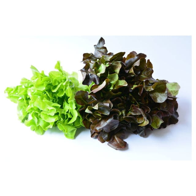 Baby mixed lettuce heads