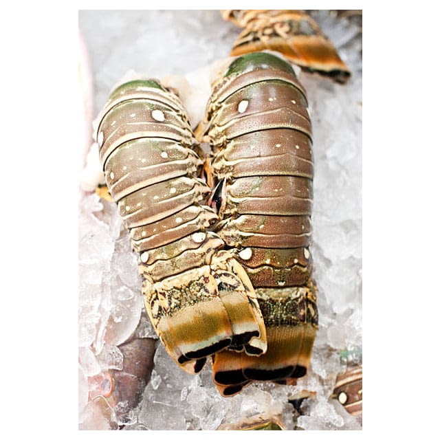 Frozen wild lobster tails CAL 9oz