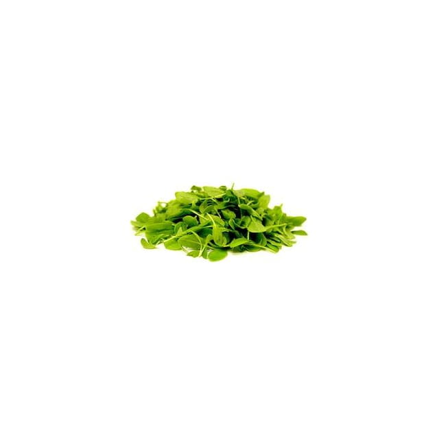 Micro sorrel