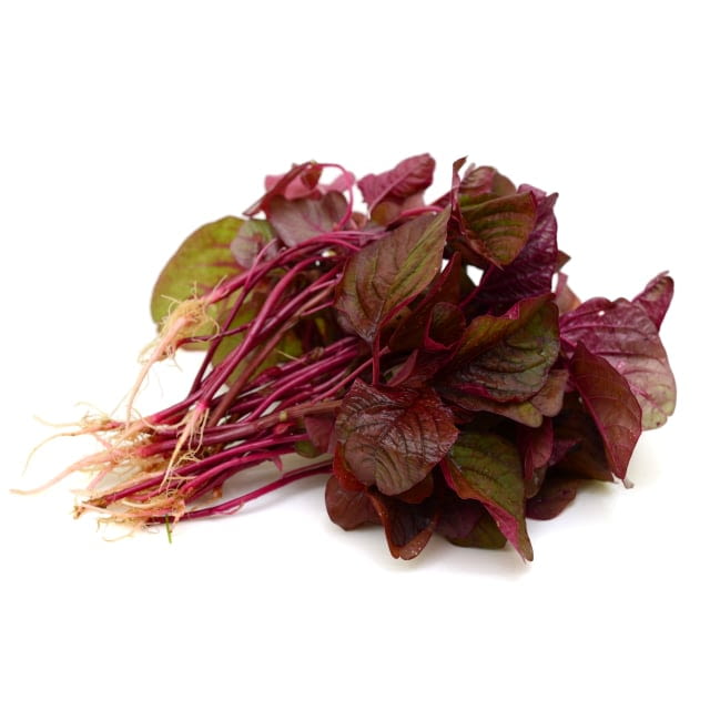 Micro red amaranth cress
