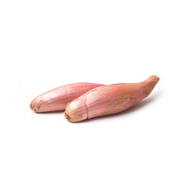 Shallots Long