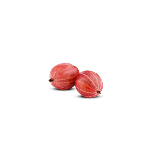 Red gooseberries