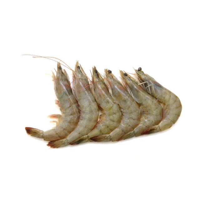 Shrimp shell on 31/35