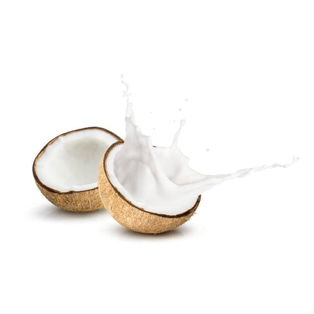 Barista coconut milk Pacific