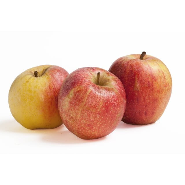 Pomme bicolore