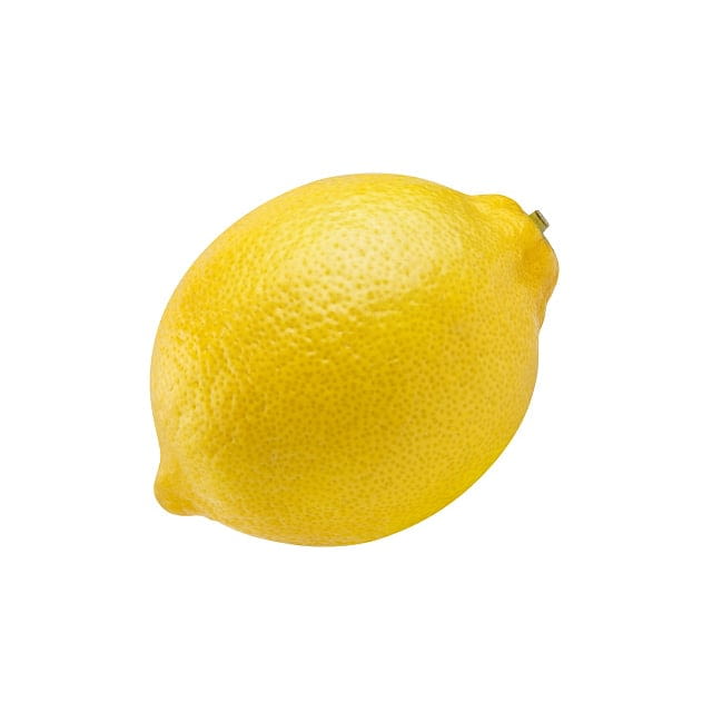 Lemon large