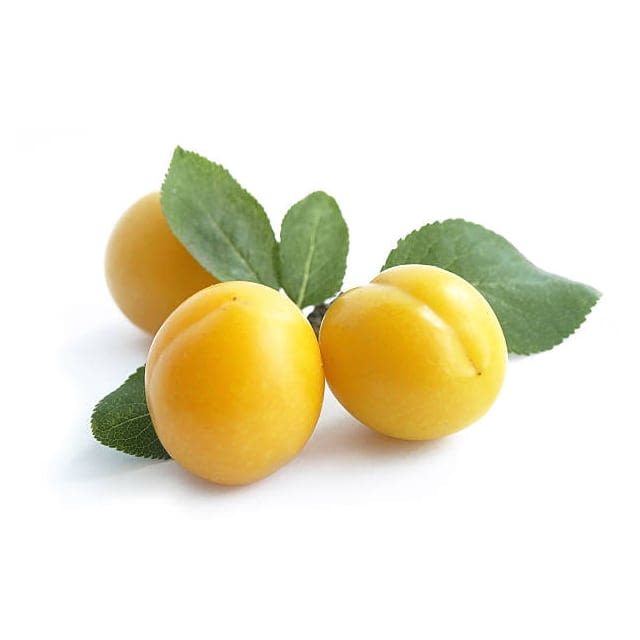 Mirabelle plums