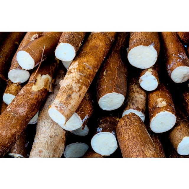 Cassava