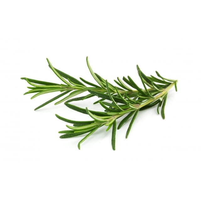 Rosemary