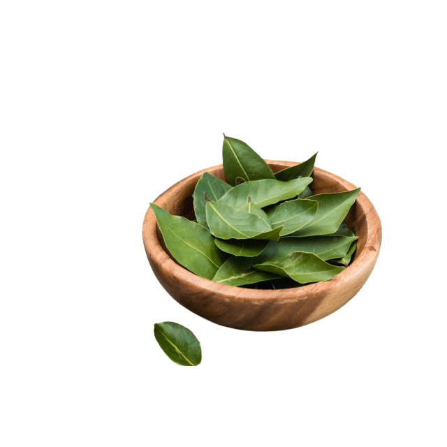 Feuilles de laurier CAL 30Gr ISFI