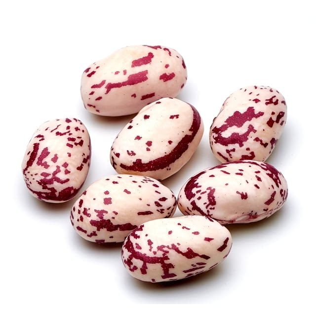 Borlotti beans