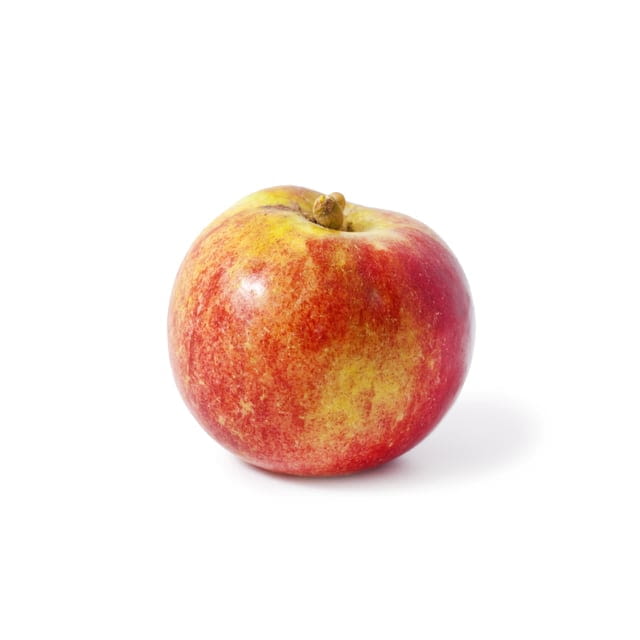 Macintosh apple