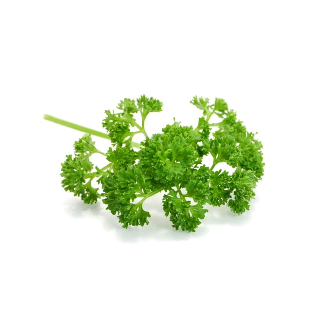 Persil frisé