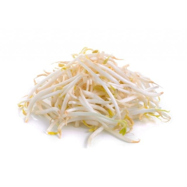 Beans sprout / shoot