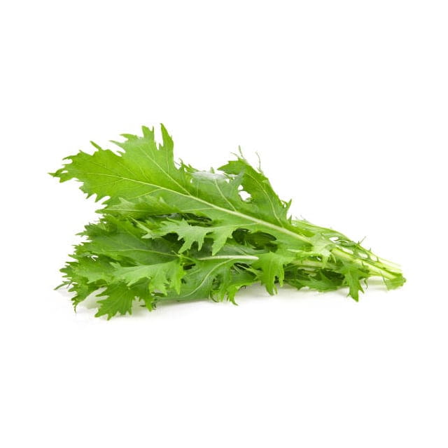Kikuna Leaves