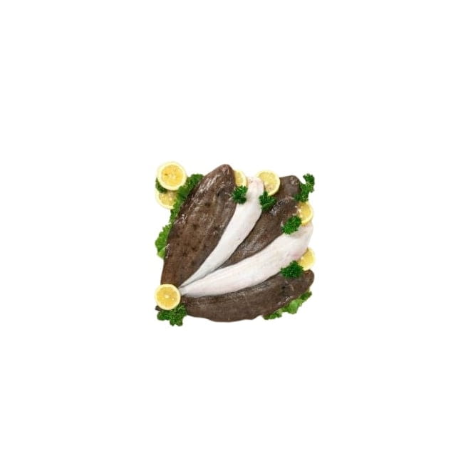 Dover sole Average weight 16/20Oz