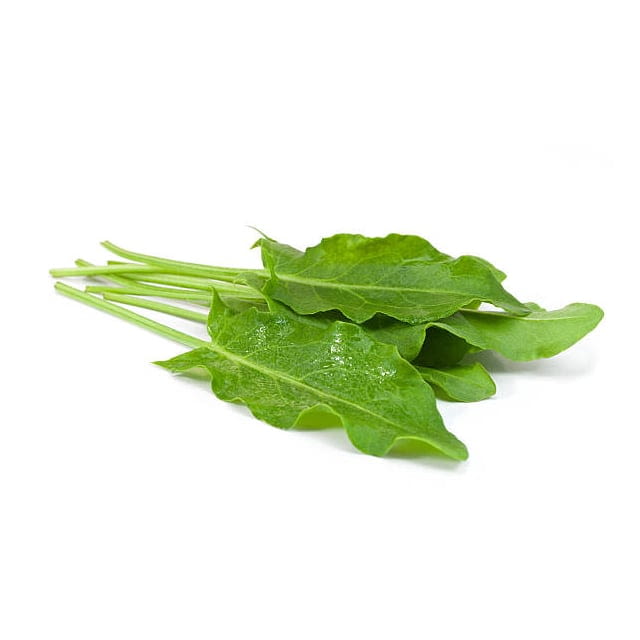 Sorrel
