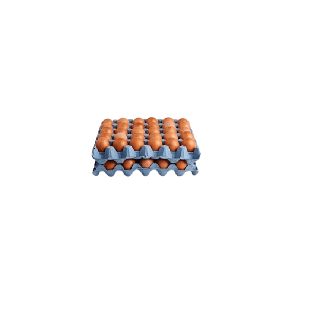 Free range eggs