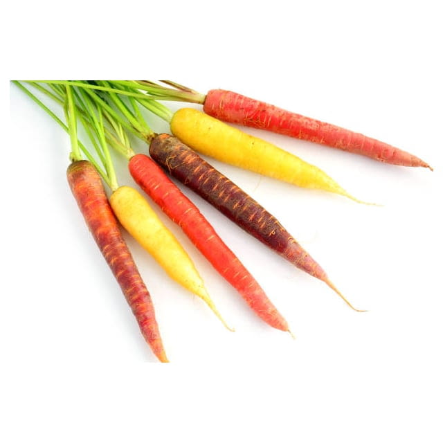 Heirloom rainbow carrots
