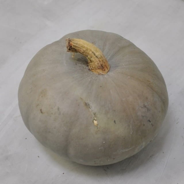 Crown prince squash