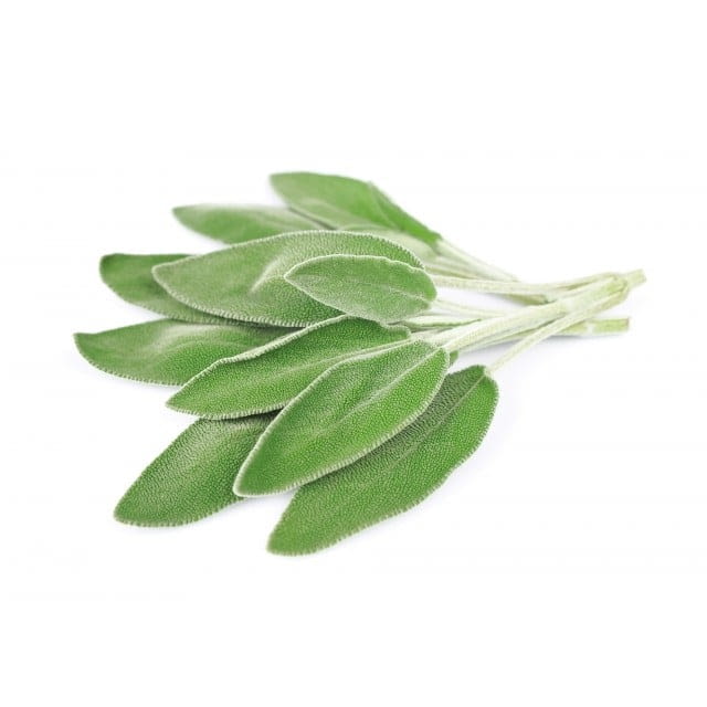 Sage