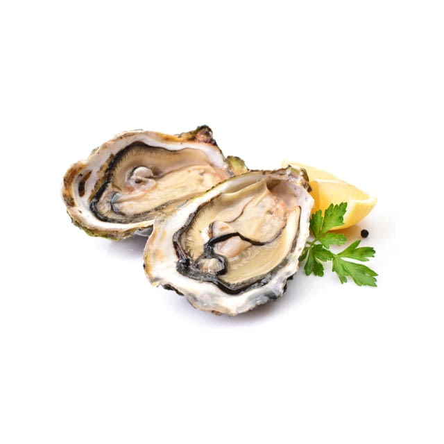Oyster