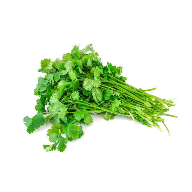 Coriandre