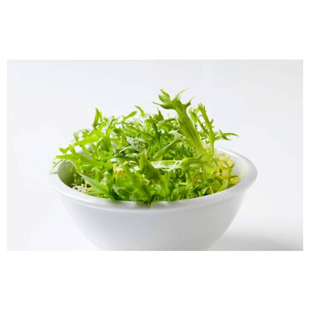 Micro cress chervil